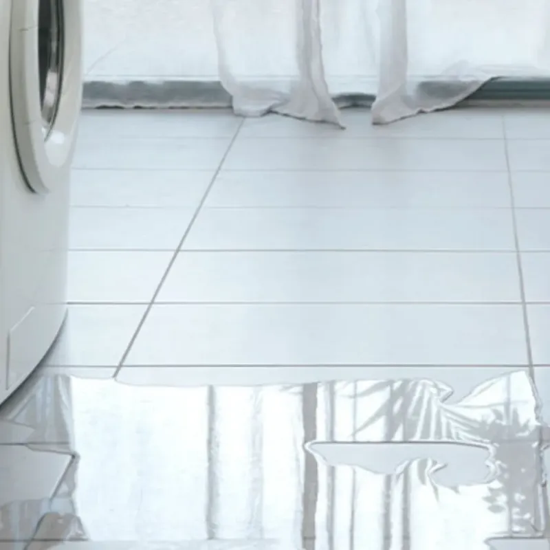 Appliance Leak Cleanup in Santa Venetia, CA